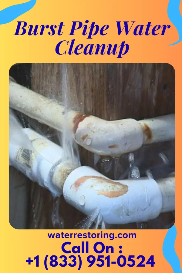 Burst Pipe Water Cleanup in Hodgenville, KY
